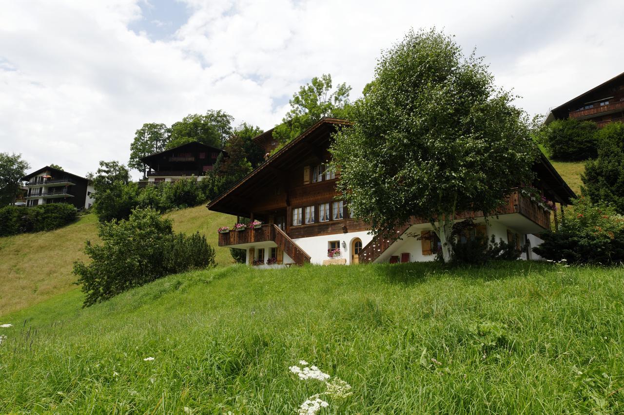 Unter Dem Stein Appartement Grindelwald
